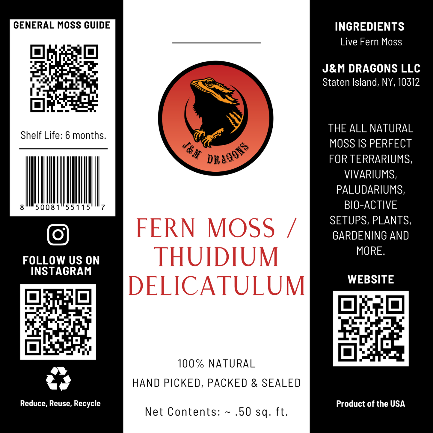 Fern Moss / Hypnum imponens