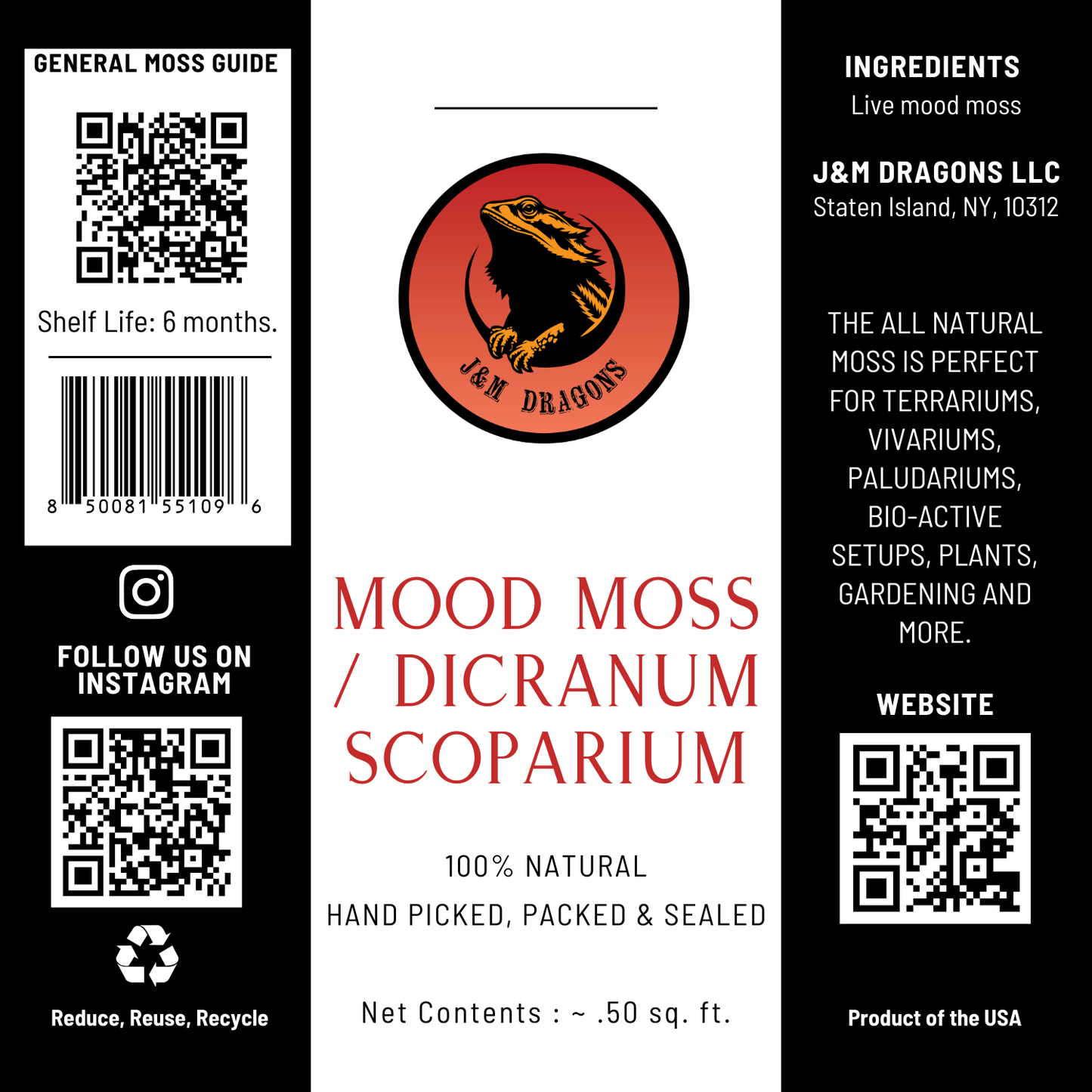 Mood Moss / Dicranum Scoparium