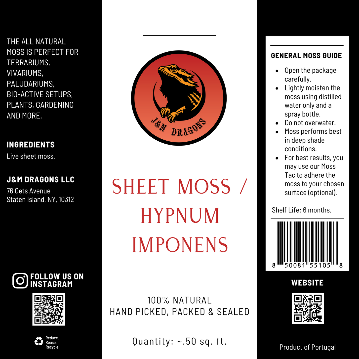 Sheet Moss / Hypnum imponens