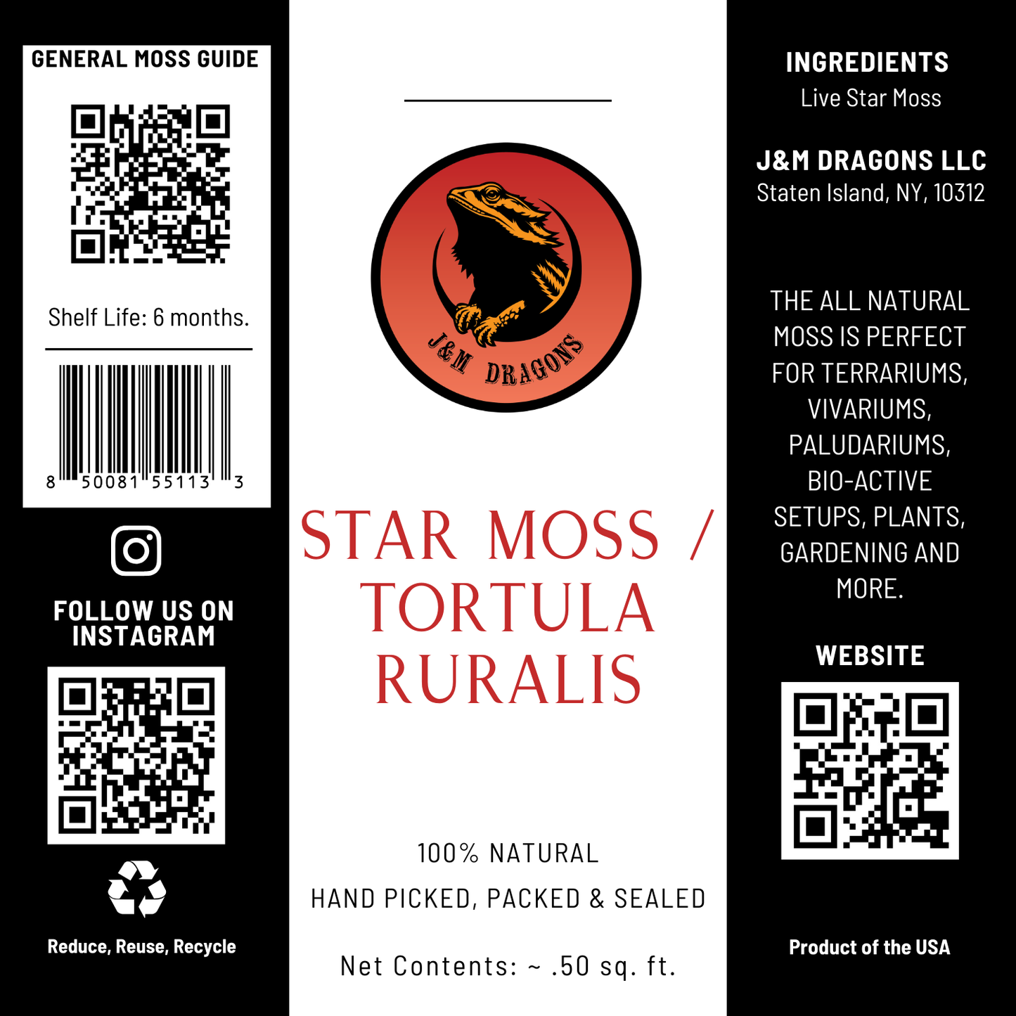Star Moss / Tortula ruralis