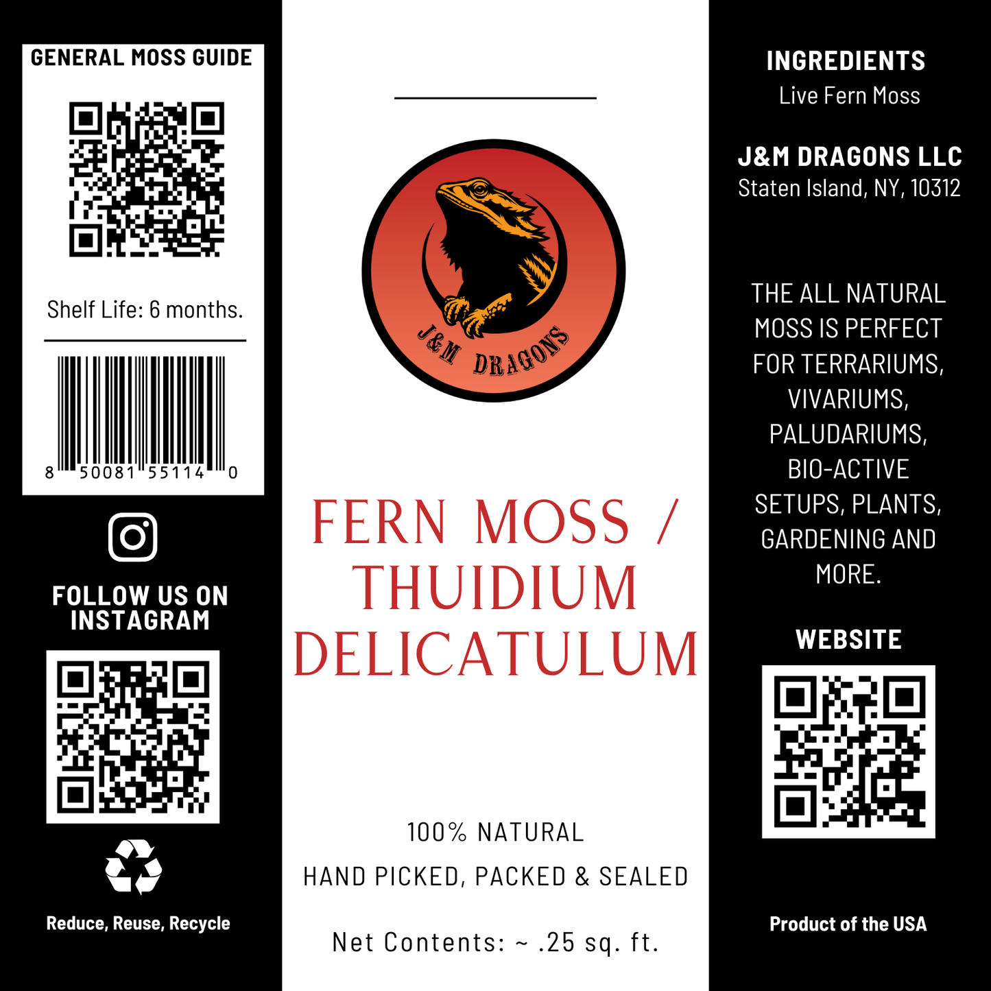 Fern Moss / Hypnum imponens