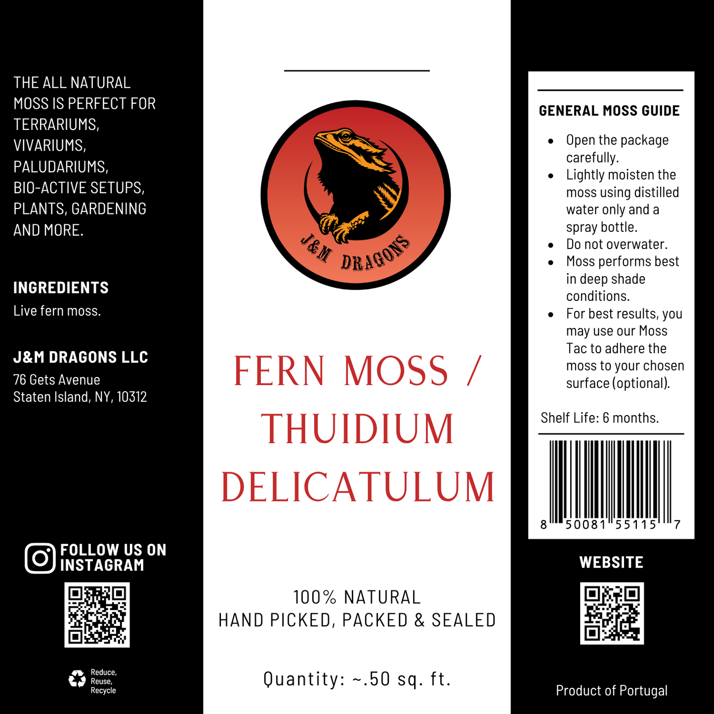 Fern Moss / Hypnum imponens