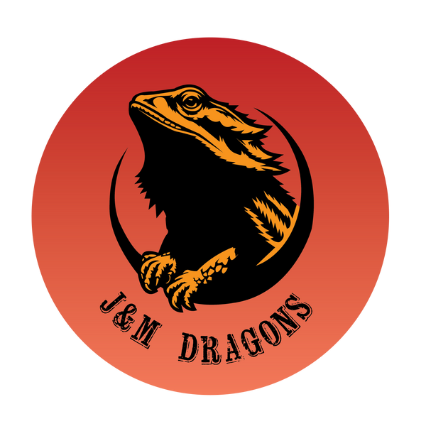 JMDragons