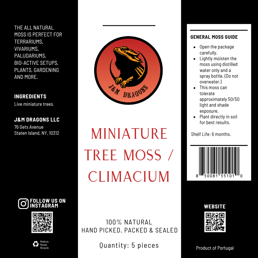 Miniature Tree Moss / Climacium