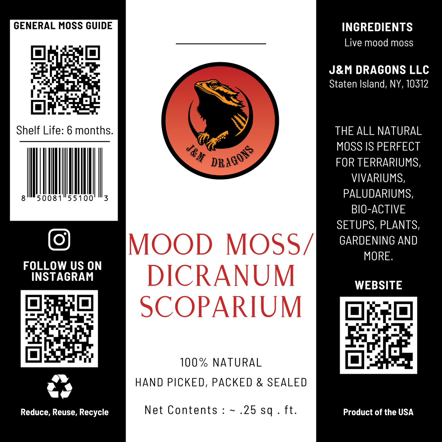 Mood Moss / Dicranum Scoparium