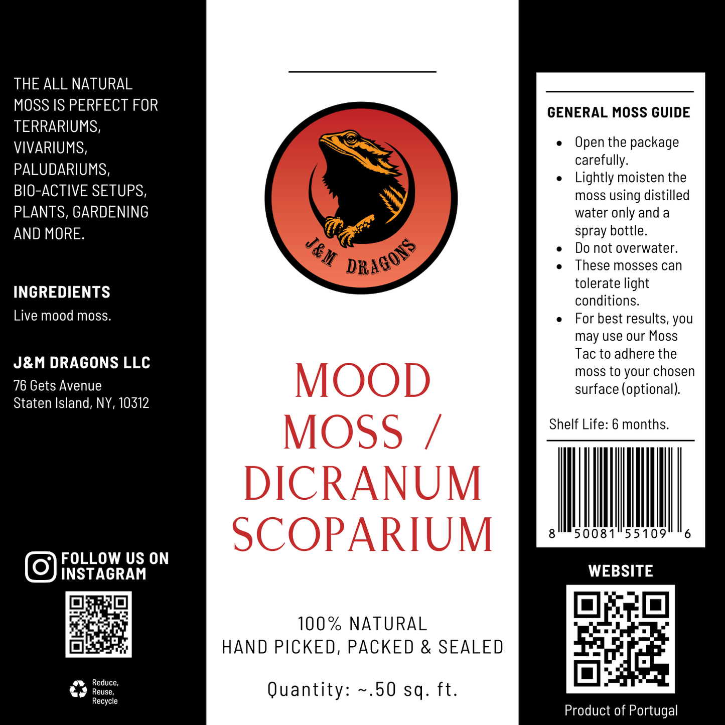 Mood Moss / Dicranum Scoparium