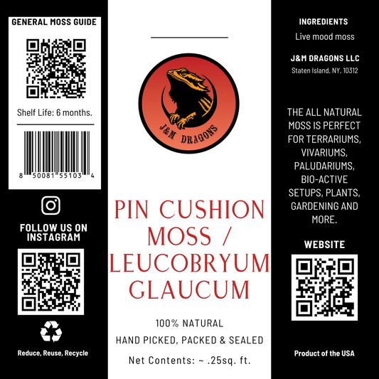 Pin Cushion Moss / Leucobryum glaucum
