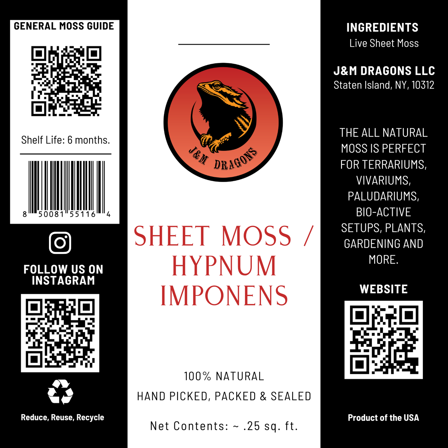 Sheet Moss / Hypnum imponens