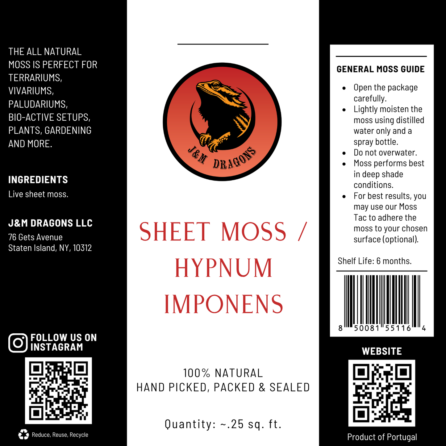 Sheet Moss / Hypnum imponens