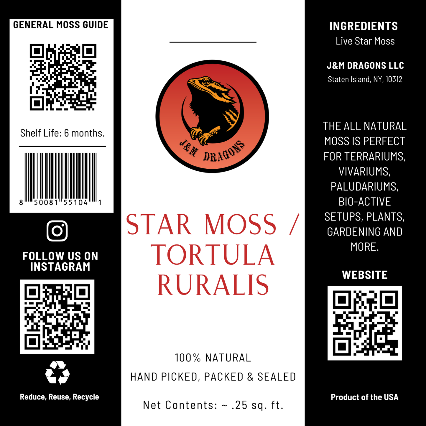 Star Moss / Tortula ruralis