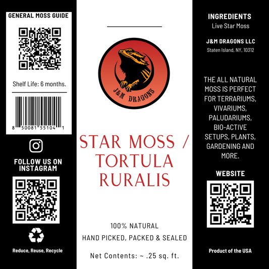 Star Moss / Tortula ruralis