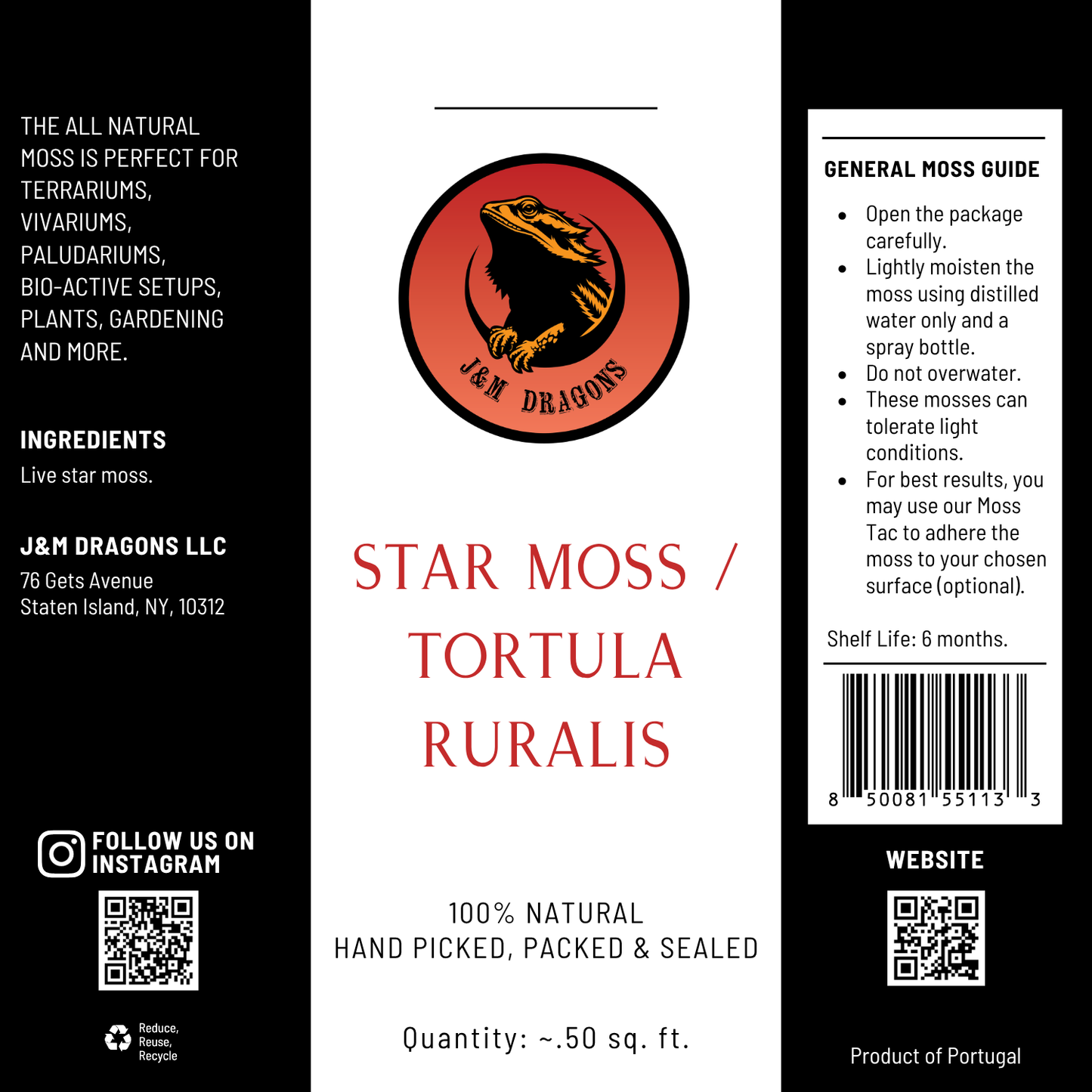 Star Moss / Tortula ruralis